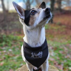 Bandana för hund