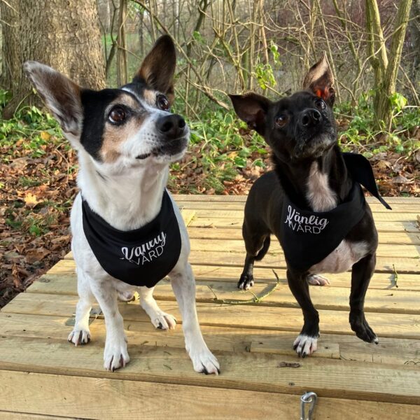 Bandana för hund - Bild 2