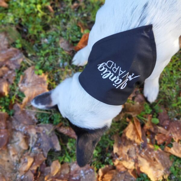 Bandana för hund - Bild 3