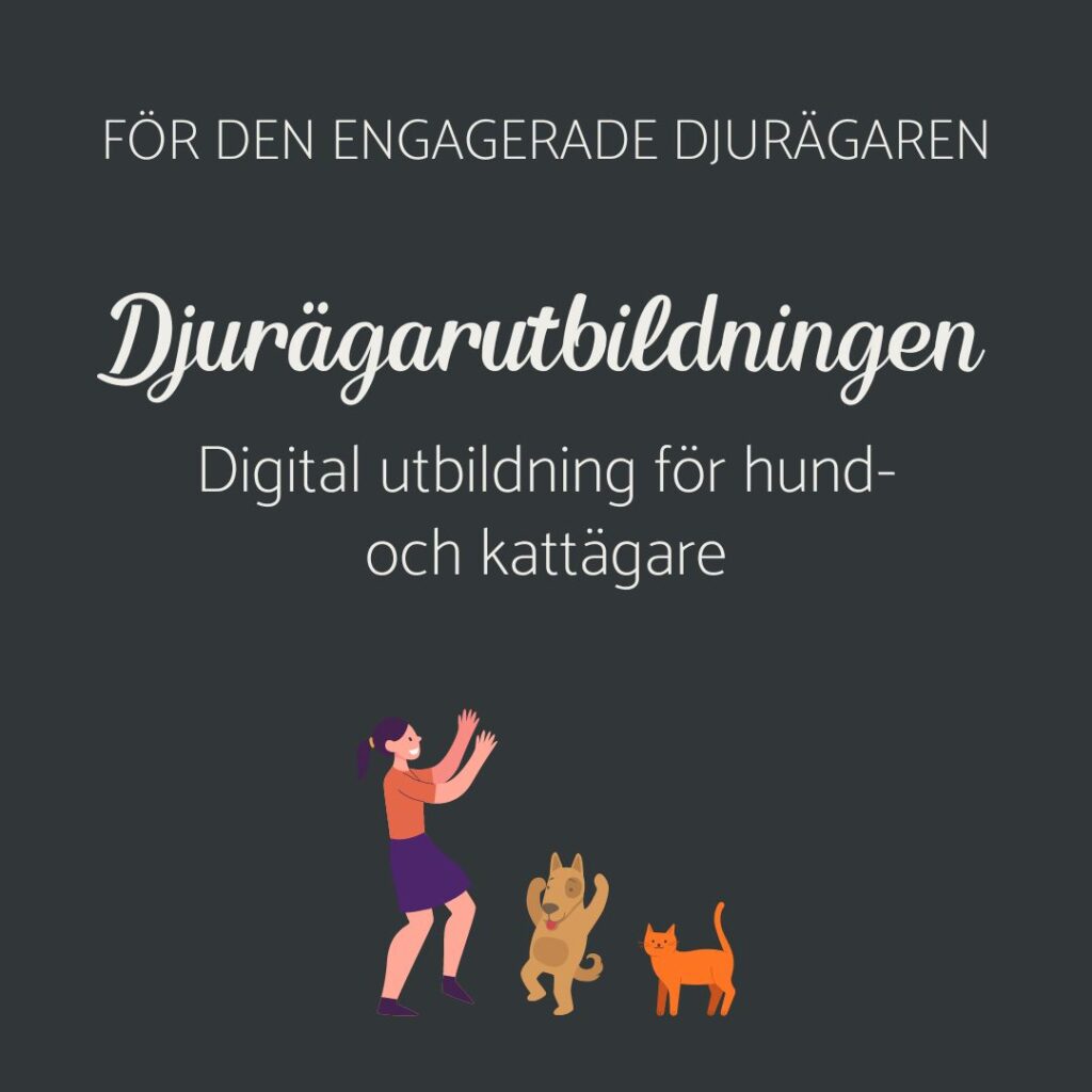 Djurägarutbildningen