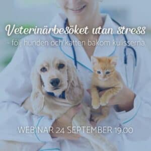 Webinar 24/9: Veterinärbesöket utan stress – följ hunden och katten bakom kulisserna